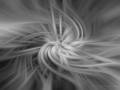 Twirl 3