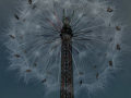 Pusteblume-und-Kettenkarusell-0038xxx-2