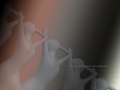 Ballet der Buesten 1
