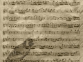 Notes and Bird