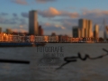 Skyline Rotterdam Maas