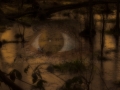 Das Auge im Moor