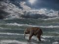 Der Elefant und das Meer