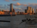 Skyline Rotterdam