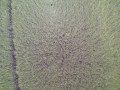YUN00007_frame_3