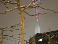 Duesseldorf_Januar_2013_0067.JPG