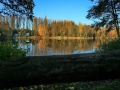 Herbstimpressionen_2012_Elbsee_Hilden_0011