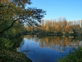 Herbstimpressionen_2012_Elbsee_Hilden_0013