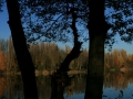 Herbstimpressionen_2012_Elbsee_Hilden_0014