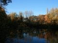 Herbstimpressionen_2012_Elbsee_Hilden_0026