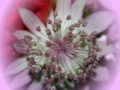 Hochzeit Birgit und Norbert_bearbeitet_0130
