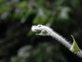 IMG_0004 (2)