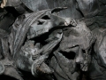 00524 Die Schlacht von Worringen Denkmal in Duesseldorf 0084