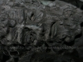 00525 Die Schlacht von Worringen Denkmal in Duesseldorf 0086