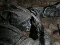 00529 Die Schlacht von Worringen Denkmal in Duesseldorf 0094