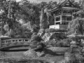 Japanischer Garten Duesseldorf