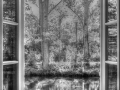 Das Fenster