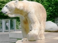 00389 Wuppertaler Zoo tiere 0002