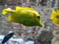 00396 Wuppertaler Zoo tiere 0009