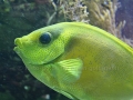 00399 Wuppertaler Zoo tiere 0012