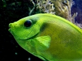 00400 Wuppertaler Zoo tiere 0012xx