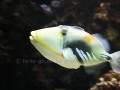 00401 Wuppertaler Zoo tiere 0013