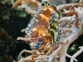 00403 Wuppertaler Zoo tiere 0015
