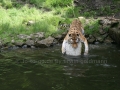 00410 Wuppertaler Zoo tiere 0022
