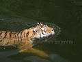 00419 Wuppertaler Zoo tiere 0031