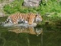 00405 Wuppertaler Zoo tiere 0017