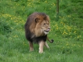 00423 Wuppertaler Zoo tiere 0035