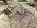 Blitze_Unwetter_Pfingsten_2014_0007xxxX.JPG