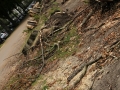 Blitze_Unwetter_Pfingsten_2014_0011xxxX.JPG