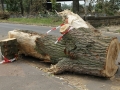 Blitze_Unwetter_Pfingsten_2014_0012xxxX.JPG