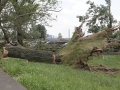 Blitze_Unwetter_Pfingsten_2014_0014xxxX.JPG