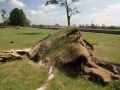 Blitze_Unwetter_Pfingsten_2014_0017xxxX.JPG