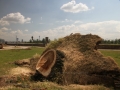 Blitze_Unwetter_Pfingsten_2014_0018xxxX.JPG