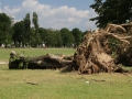 Blitze_Unwetter_Pfingsten_2014_0019xxxX.JPG