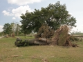 Blitze_Unwetter_Pfingsten_2014_0020xxxX.JPG