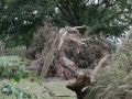 Blitze_Unwetter_Pfingsten_2014_0021xxxX.JPG