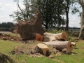 Blitze_Unwetter_Pfingsten_2014_0022xxxX.JPG