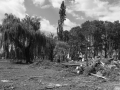 Blitze_Unwetter_Pfingsten_2014_0023xxxX.JPG