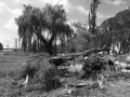 Blitze_Unwetter_Pfingsten_2014_0024xxxX.JPG