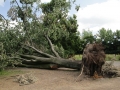 Blitze_Unwetter_Pfingsten_2014_0026xxxX.JPG
