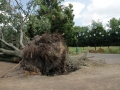 Blitze_Unwetter_Pfingsten_2014_0027xxxX.JPG