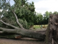Blitze_Unwetter_Pfingsten_2014_0028xxxX.JPG