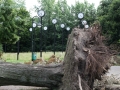 Blitze_Unwetter_Pfingsten_2014_0029xxxX.JPG