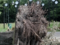 Blitze_Unwetter_Pfingsten_2014_0030xxxX.JPG