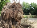 Blitze_Unwetter_Pfingsten_2014_0031xxxX.JPG