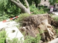 the_day_after_Sturmschaeden_Pfingsten_2014_0087